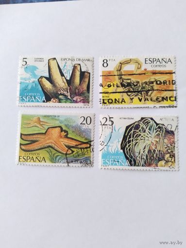 Испания  1979   4 м  безпозвоночные