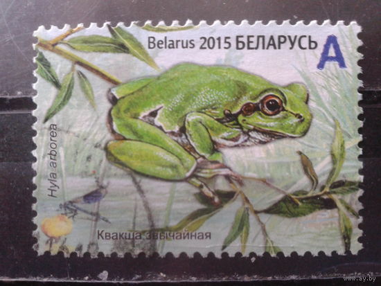 2015 Лягушка