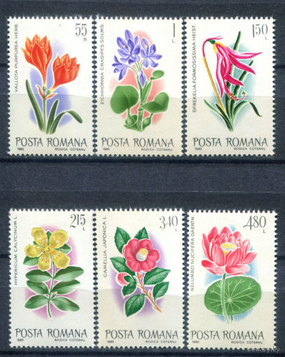 Румыния - 1980г. - Цветы - полная серия, MNH, 1 марка с отпечатком на клее, номинал 25 B с маленьким пятнышком на лицевой стороне [Mi 3721-3726] - 6 марок