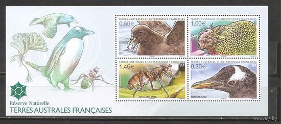 ФФ3 ТААФ 2012 Фауна