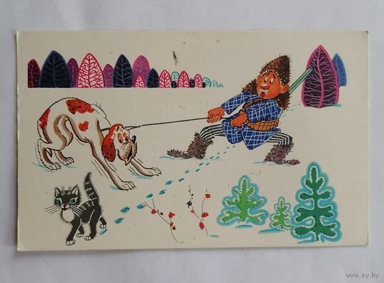 Открытка из СССР, 1968 г, Чистая. Северная собака