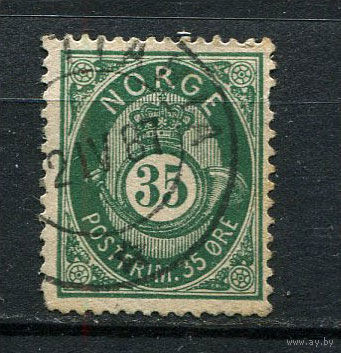 Норвегия - 1877/1878 - Цифры 35 O - [Mi.29] - 1 марка. Гашеная.  (Лот 43EC)-T5P5