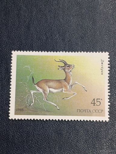СССР 1985г. Джейран