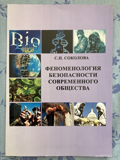 Феноменология безопасности современного общества. С. Н. Соколова