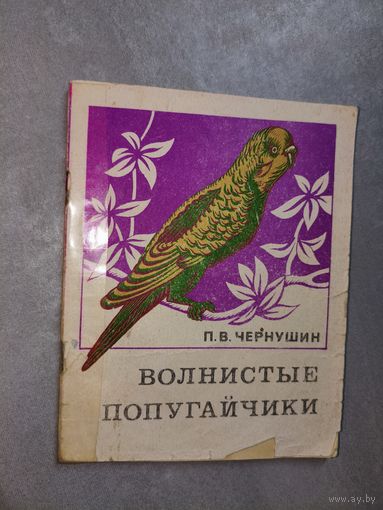Петр Чернушин "Волнистые попугайчики"