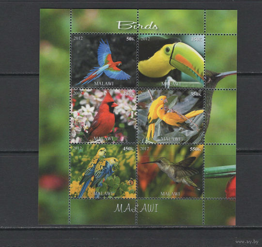 Малави 2012  Птицы