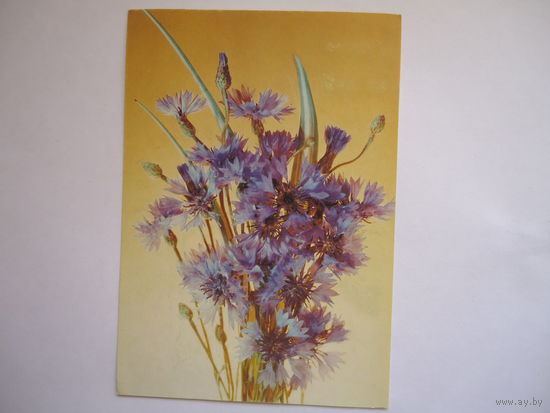 Цветы.Чистая.1992г.