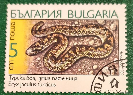 Болгария 1989. Змеи. Eryx Jaculus Turcicus