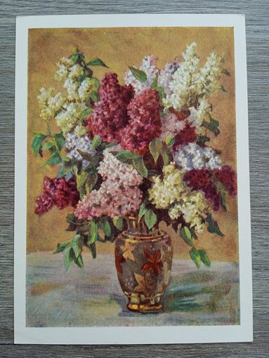 1959. Лебедев. Сирень. Почтовая карточка