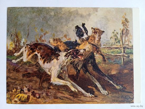 Охота. 1954. Савицкий. Борзые с лисой