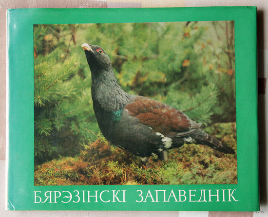 Бярэзiнскi запаведнiк