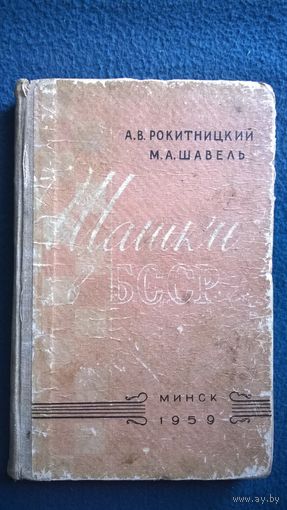 Рокитницкий, Шавель ШАШКИ В БССР 1959 год