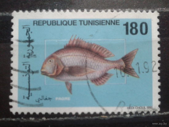 Тунис, 1991. Рыба Джентекс