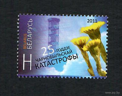 Беларусь. 2011. Чернобыль.