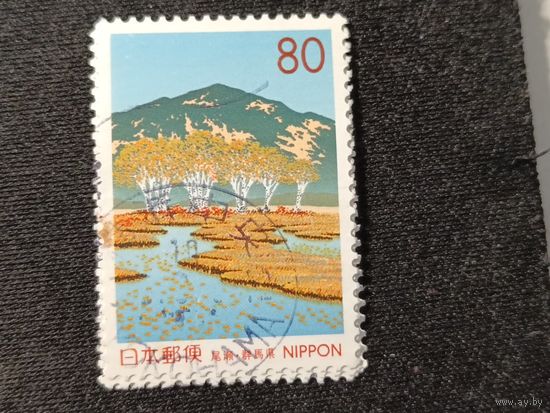 Япония, 1998. Высокогорное болото