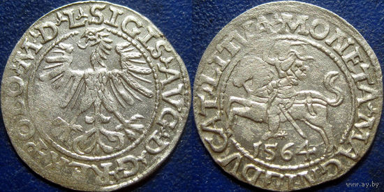 ВКЛ. Полугрош 1564 года.