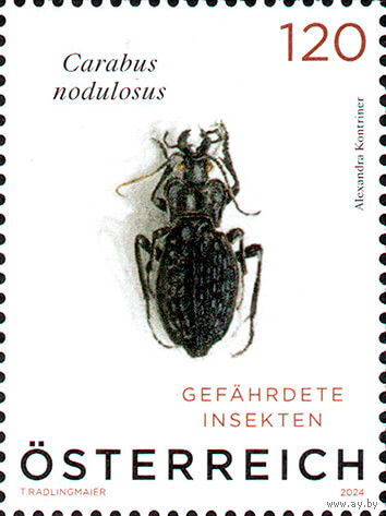 Насекомые, находящиеся под угрозой исчезновения Австрия 2024 год серия из 1 марки