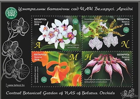 2014г Беларусь MNH Малый лист "Центральный ботанический сад НАН Беларуси. Орхидеи"