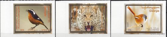 Грузия 2016. Фауна. Птицы. Леопард. 3 марки самоклейки