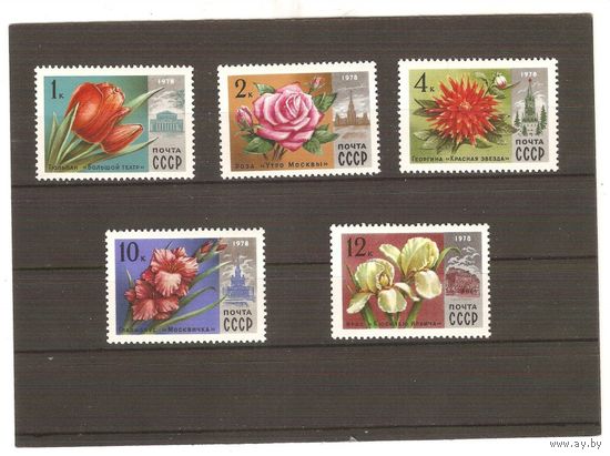 СССР-1978г-флора** цветы (С)