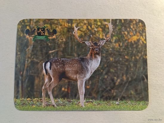 Карманный календарик. Красный бор. 2015 год