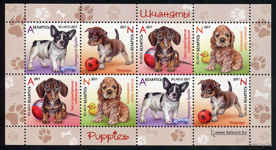 2017_Щенки.