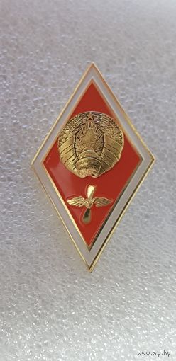 Ромб высшее авиационное образование Беларусь*