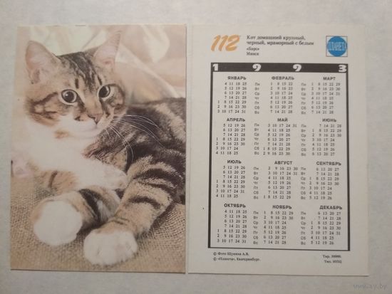 Карманный календарик. Котик.1993 год