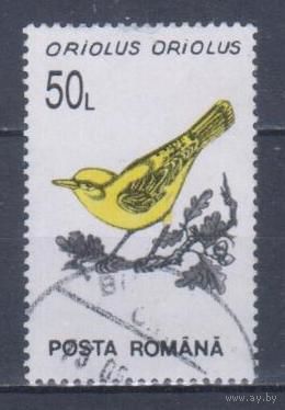 [1977] Румыния 1993. Фауна.Птицы.Иволга. Гашеная марка.