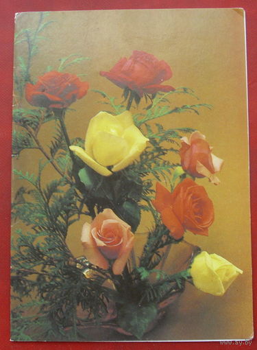 Поздравляем! Чистая. Двойная. 1986 года. Фото Байлова. 1258.
