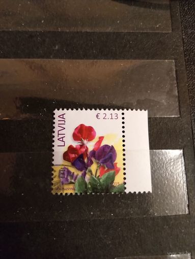 2015 Латвия флора цветы концовка (2-5)