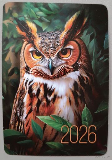 Сова. Календарик, 2026