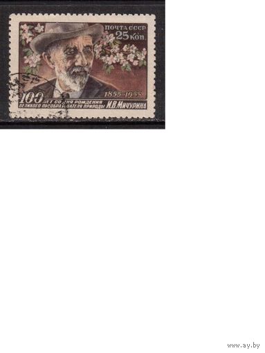 СССР-1956, (Заг.1805),  гаш. , И.Мичурин