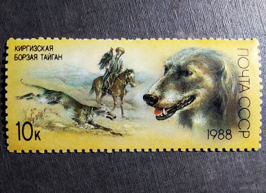 Марка СССР 1988 год Собаки