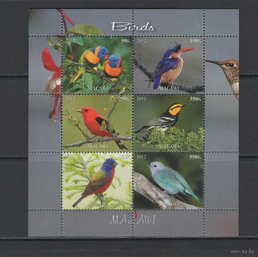Малави 2012  Птицы