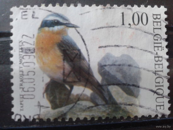 Бельгия 2002 Стандарт, птица 1,00