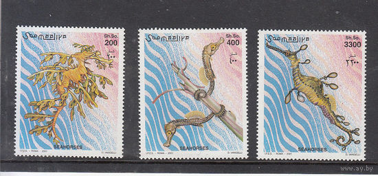 Фауна. Морские коньки. Сомали. 2001. 3 марки. Michel N 924-926 (16,0 е)