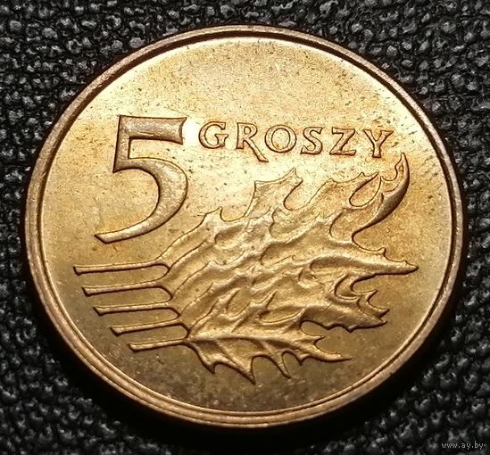 5 грошей 2008