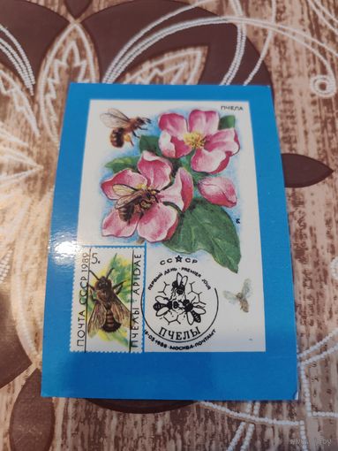 Календарик,марка,1991