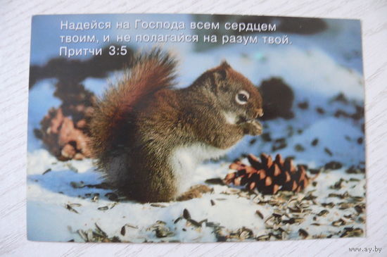 Открытка с цитатами, религия; 2002, подписана, изд. Христианская служба семьи и здоровья, Заокский (белка).