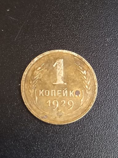 1 копейка 1929 год (4)