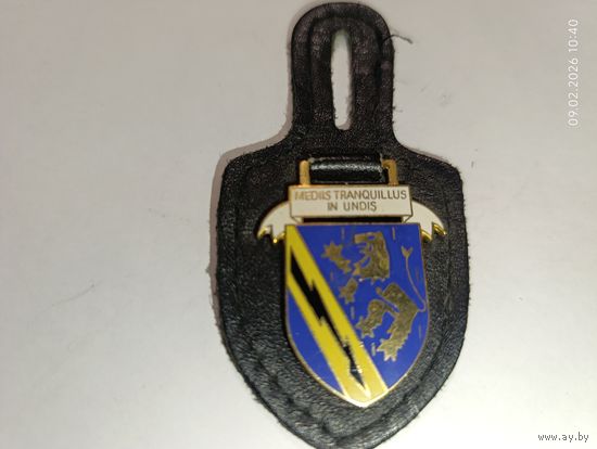 Нагрудный знак связи Бундесвер