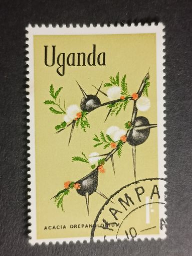 Уганда 1969. Флора