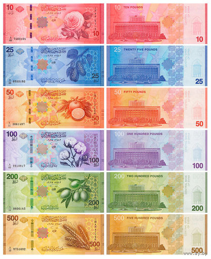 Сирия. Полный набор  (10, 25, 50, 100, 200, 500 фунтов)  2025 год UNC   НОВИНКА