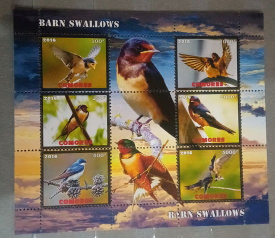 СЕРИЯ Блоков птицы  фауна MNH