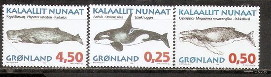 ФФ2 Гренландия 1996 Киты