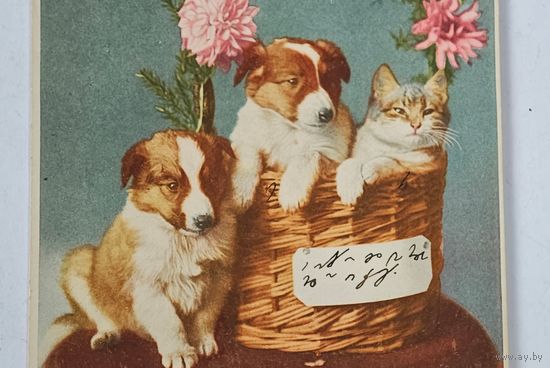 До 1917 года Открытка