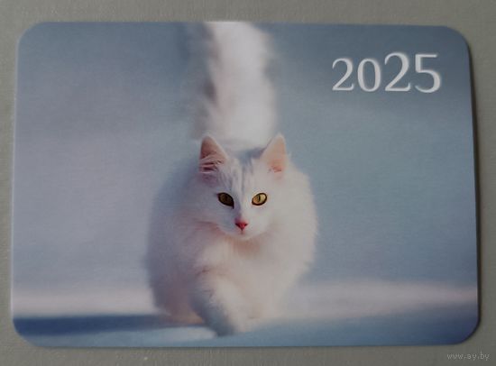 Кот. Календарик, 2025, глянец
