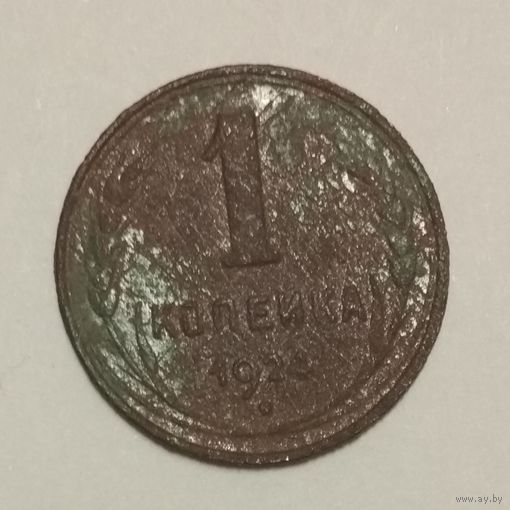 1 копейка 1924 (1)