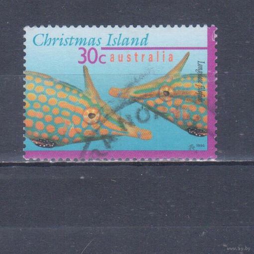 [2087] Кристмас 1996. Фауна.Рыбы. Гашеная марка.